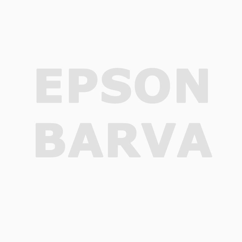 Epson črnilo T8912, 700 ml, cyan