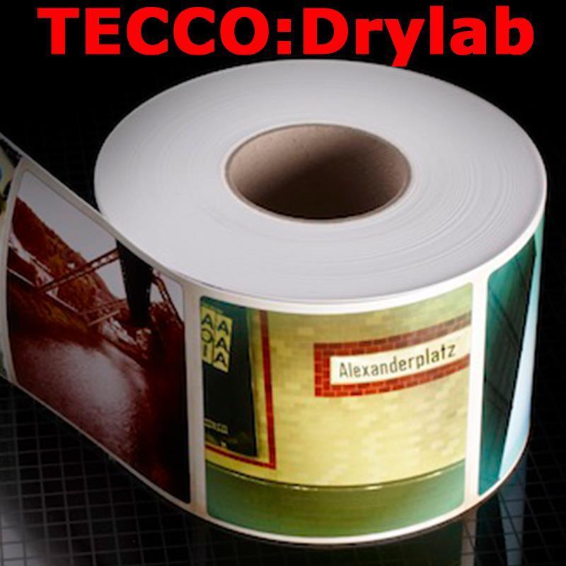 Tecco:DryLab PG300 Premium Glossy, 6“ (152 mm) x 50,5 m, 4 role