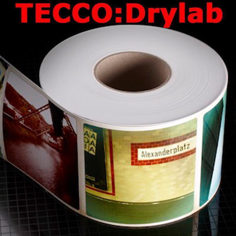 Tecco:DryLab PL250 Premium Luster, 4“ (102 mm) x 55,5 m, 4 role
